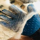 Brosse colorée de Deshedding de cheveux de gants de toilettage de chat/chien pour Bath propre fournisseur