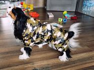 Petit manteau de pluie de chien de chiot réfléchi, veste imperméable respirable molle de chien fournisseur