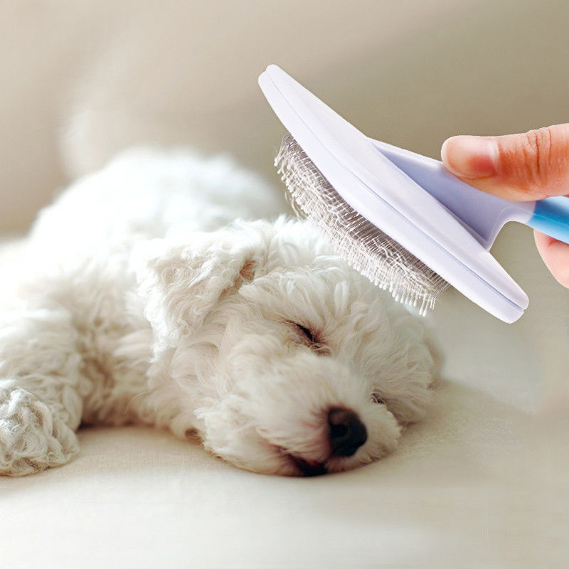 Faciles imperméables rotatifs antirouille d'outil de Dematting de brosse/chien de cheveux d'animal familier nettoient fournisseur