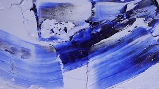 Logo personnalisé de collier pour animaux de compagnie à fleurs mignonnes