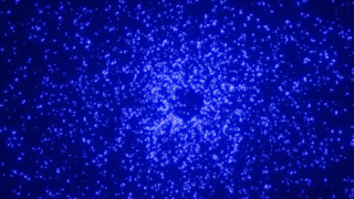 Jouets amusants pour lit à gratter pour chat moderne