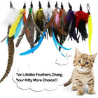 Jouet escamotable de chat, jouet de baguette magique de plume de chat avec des plumes d'oiseaux de 1 de Polonais 7 ver d'attachements fournisseur