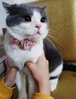 Les colliers d'animal familier/le collier faits sur commande doux chat de fleur personnalisé ont adapté le logo aux besoins du client fournisseur