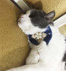 Le ruban perle des colliers de chat de concepteur, chat de fantaisie que la couleur adaptée aux besoins du client par colliers facile frottent fournisseur