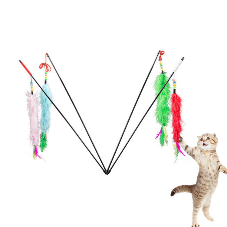 Faites varier le pas de la taille mignonne d'animal familier de jouets mous de jeu/jouets interactifs de chat 55 * 1 cm fournisseur